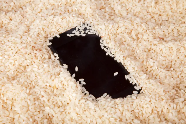 Apple jep paralajmerimin: Mos e futni iPhone-in në oriz, kjo është metoda për ta larguar ujin