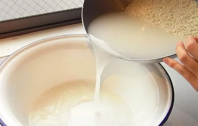 Uji i orizit – vlerat fantastike për flokët dhe lëkurën